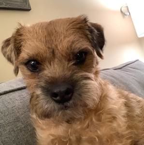 Meet your Posher, Janet